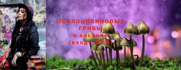 метамфетамин Алексин