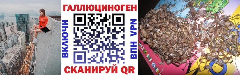 Псилоцибиновые грибы GOLDEN TEACHER  Алдан 